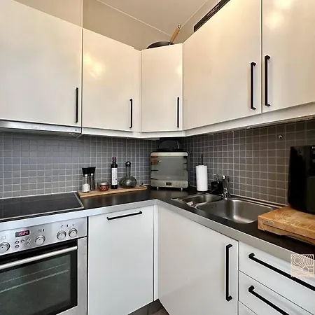 Great Apart Centrally Located On Frogner In * Oslo